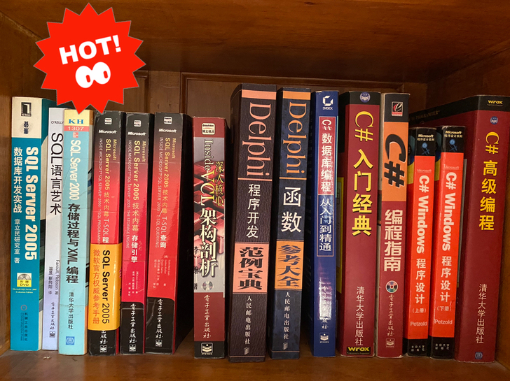 【捡漏！一批各种高级编程计算机电脑学习书籍】