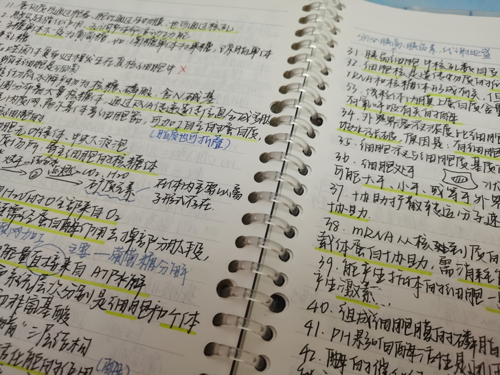 高中生物笔记