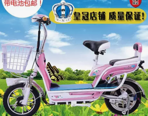飞鸽正品 电动车  电动自行车  踏板车电...