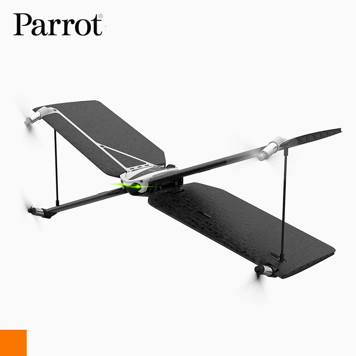 法国派诺特Parrot Swing