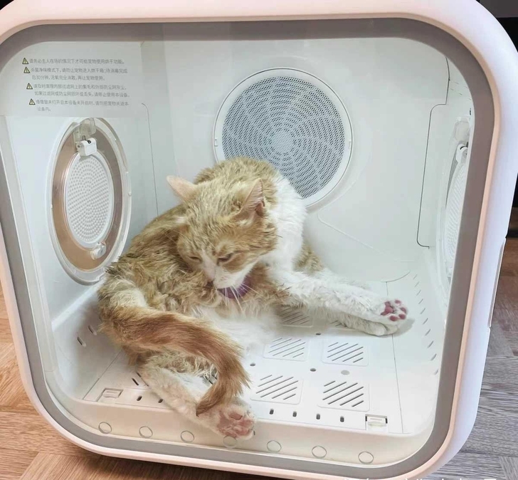 特价包邮霍曼39度仓宠物烘干箱全自动猫咪吹...