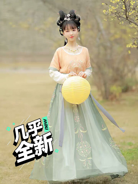 素羽华裳原创芷兮坦领汉服女半臂敦煌风复原齐...