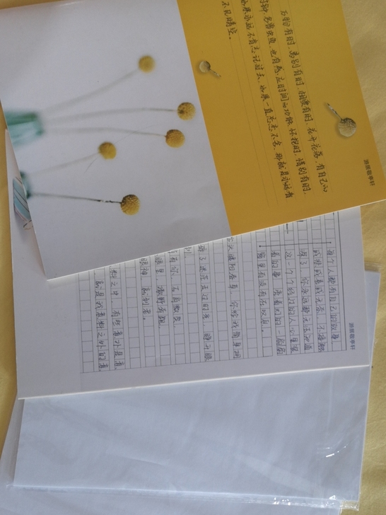 游居敬亭轩字帖，两本字帖，加两本临摹纸