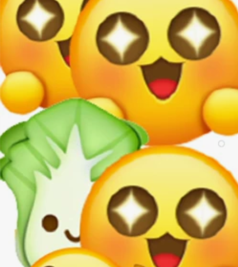 系统 集成项目管理工程师中级计算机软件考试...