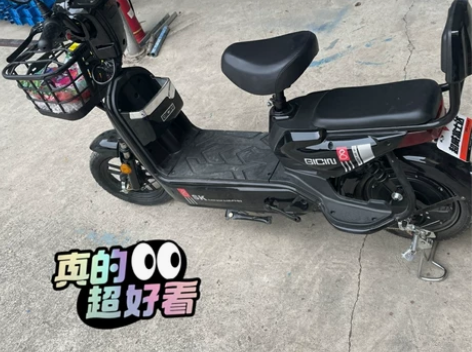 金丝猴长跑王电动车超长续航电动车电动车男女...