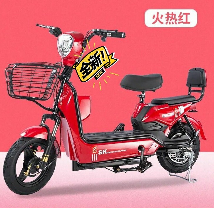 #节后鱼生#全新急售一批全新国标两轮爱玛雅...