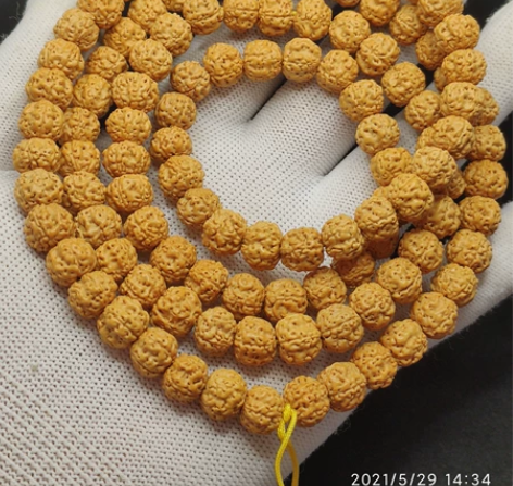 标价卖10*8梅花双龙平头平尾树祖树神小金...