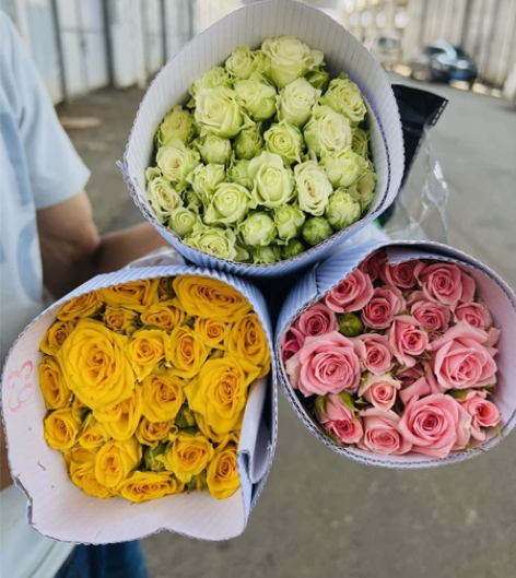 鲜花3扎3扎35.9套餐方德多头玫瑰泡泡甜...