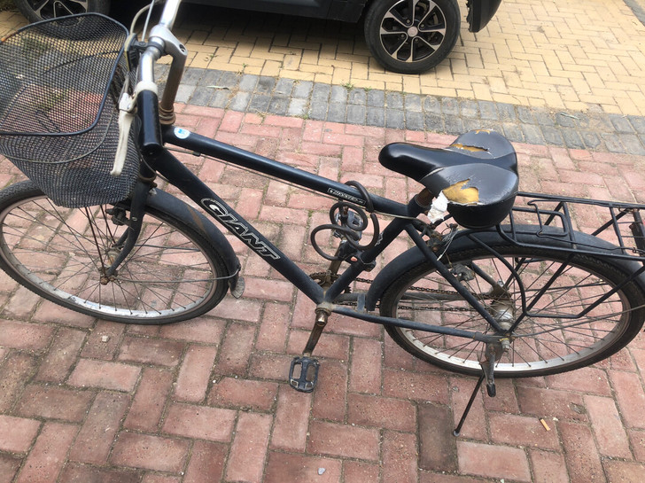 捷安特马斯特123,3成新