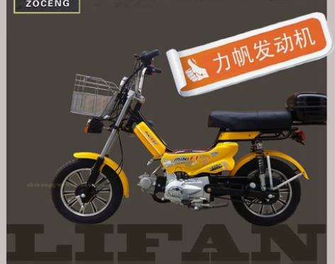燃油助力车100cc力帆发动机钓鱼用车迷你...
