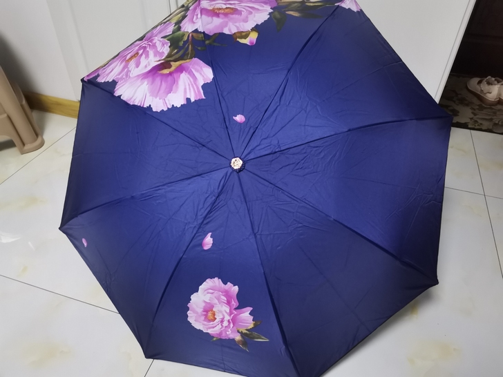 两把遮阳伞，一深蓝，一浅粉，内外双面图案，...