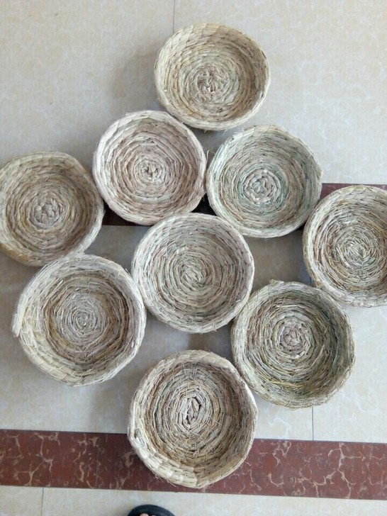 鸽子稻草窝