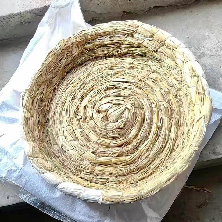 鸽子草窝信鸽巢盆信鸽鸽窝玉米皮防侧翻草窝