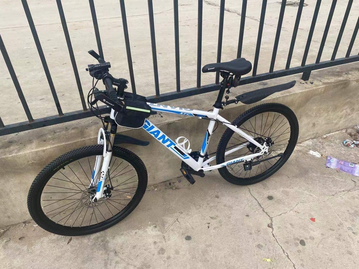 回笼资金全新捷安特山地车自行车男女中青年学...