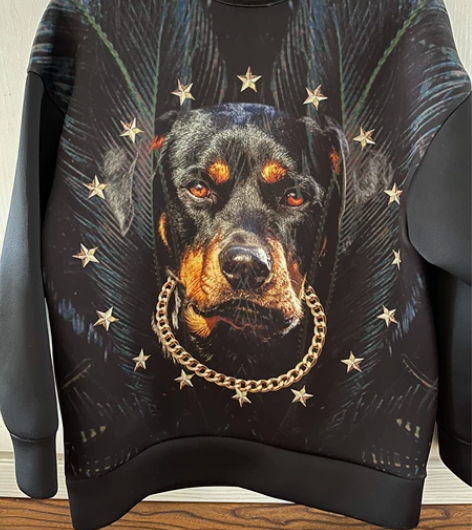 男士卫衣，码数L，韩国工作的时候购买的，搬...