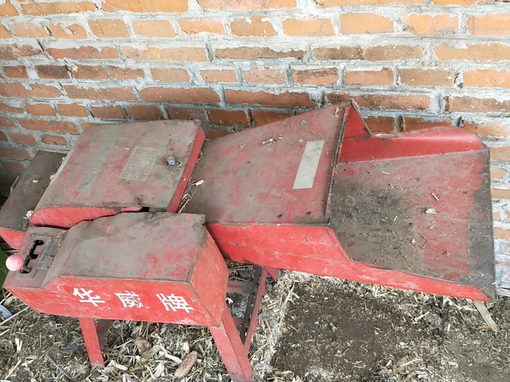 铡草机带电机，能粉碎玉米杆和稻草，养个六七...