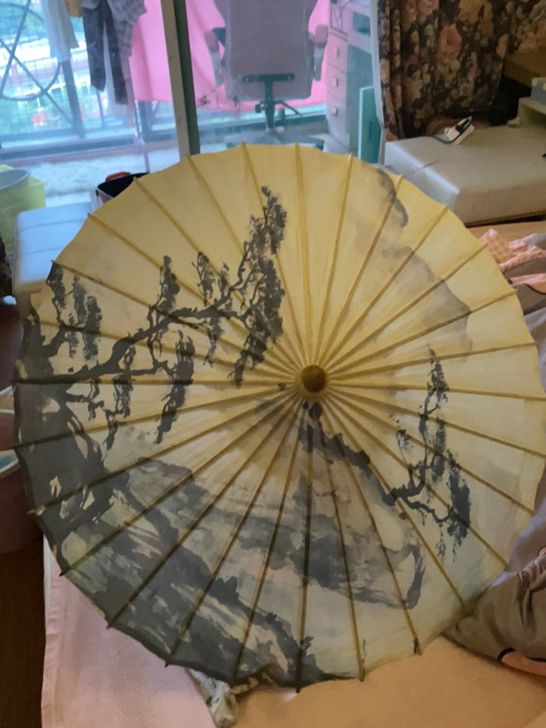 一揽芳华油纸伞,朋友送的没用过