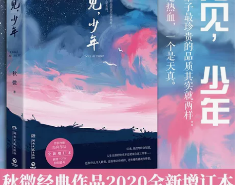 青春文学 正版青春文学再见 少年 秋微著 ...