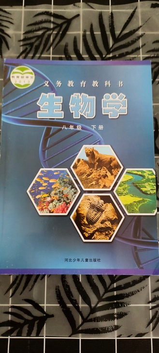 全新全新全新/初中教科书教材
