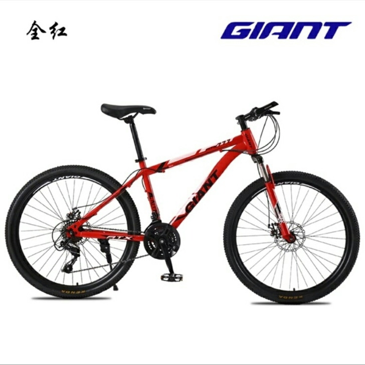 低价处理捷安特山地车自行车男女中青年学生变...