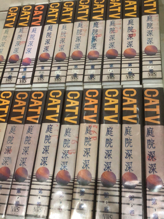 录像带 琼瑶 庭院深深