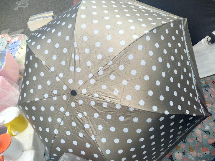 全新雨伞10元一把!就剩两把了,欲购从速!...