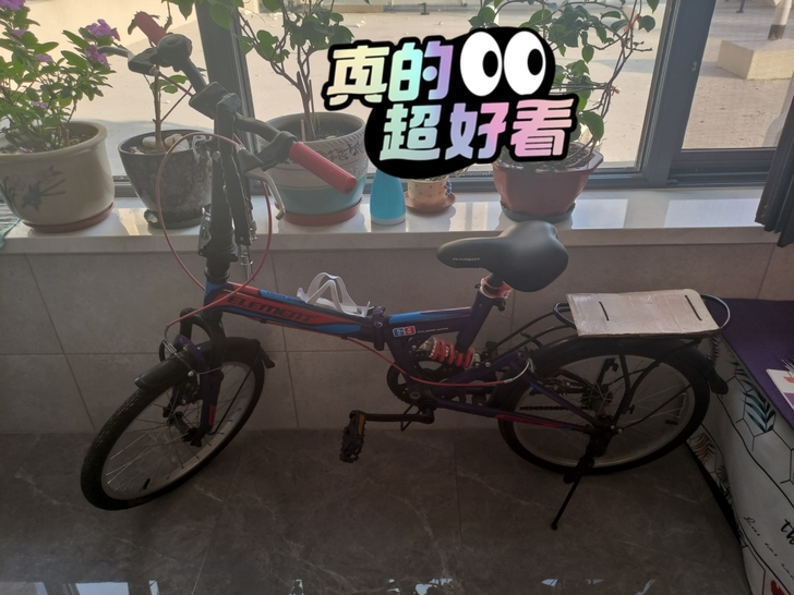 大人，孩子都能骑，座椅升降。车身可折叠。只...