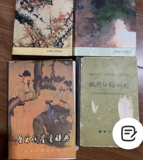 《唐宋词鉴赏辞典》《新诗鉴赏辞典》《现代散...