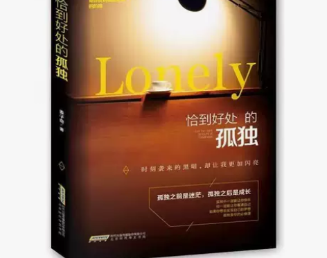 恰到好处的孤独 散文 杂文 小说 青春励志...