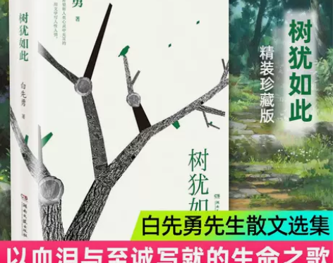 树犹如此 白先勇亲定选本代表作散文书籍选...