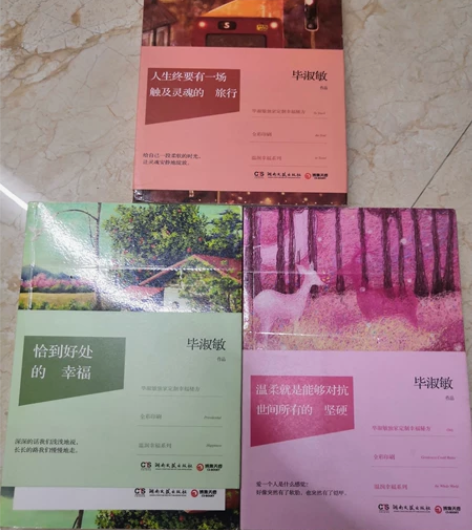 全新毕淑敏散文集 全新,正版 人生终要有一...