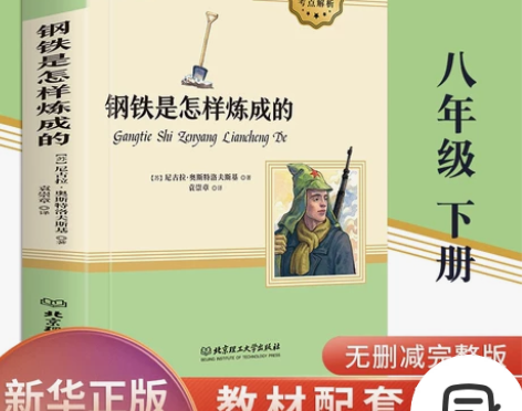 钢铁是怎样炼成的 正版原著 初中小学生课外...