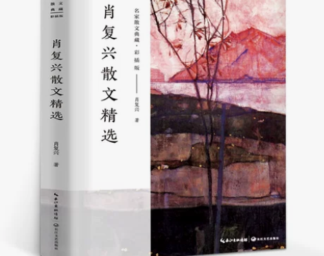 肖复兴散文精选名家散文典藏彩插版收录那片