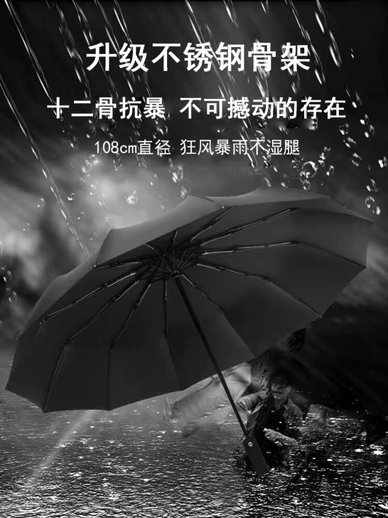 德国十二骨全自动雨伞男士抗风大号加固折叠晴...
