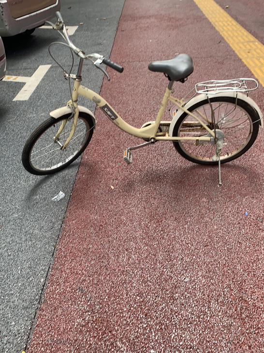 自行车 赛福特