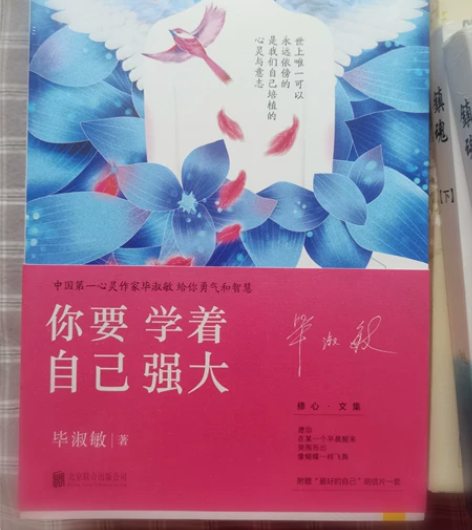 毕淑敏阿里小说（青藏高原的故事），全新 感...