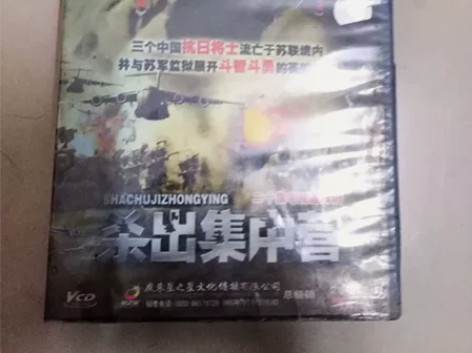 影片杀出集中营，全套二十集，经典怀念，极具...