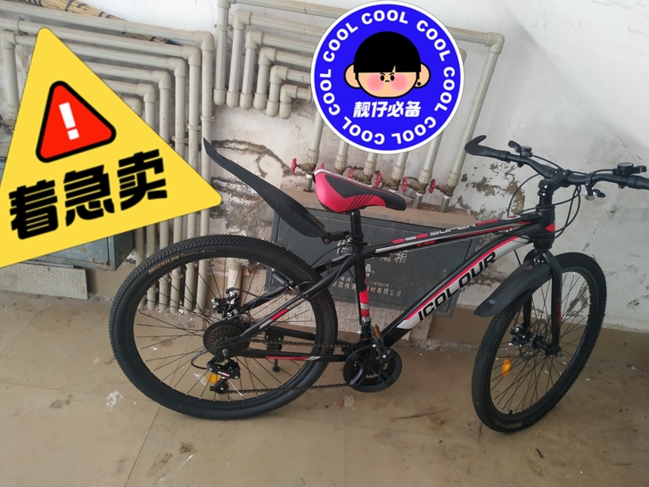 品牌型号 ICOLOUR 新旧程度 九成新...