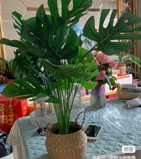 【全新！亏 出】送花篮仿真龟背竹植物盆栽仿...
