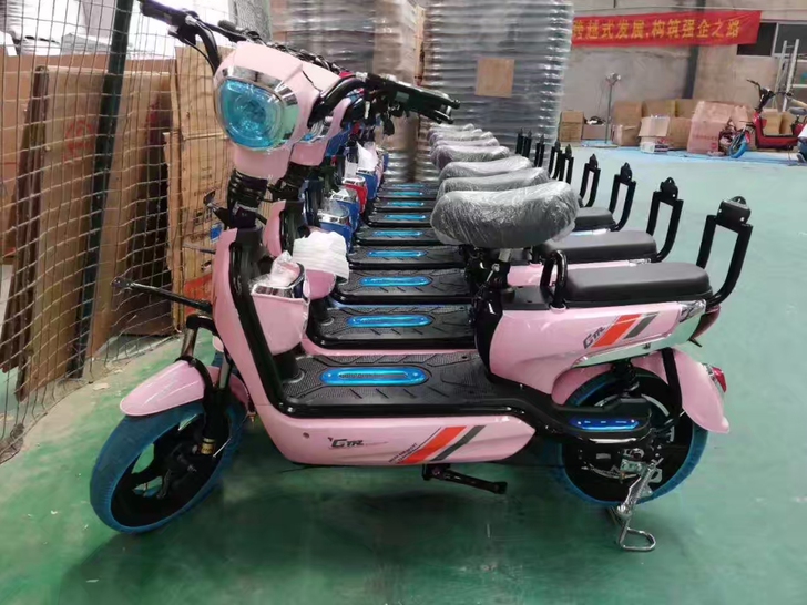 绿源款成人男女电动自行车 配置等级:标准型...