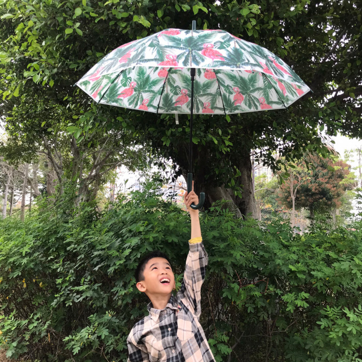 出口韩国的订单,工厂白菜价出了。网红创意长...