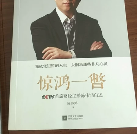 名人传记闲书二手书《惊鸿一瞥》CCTV首席...