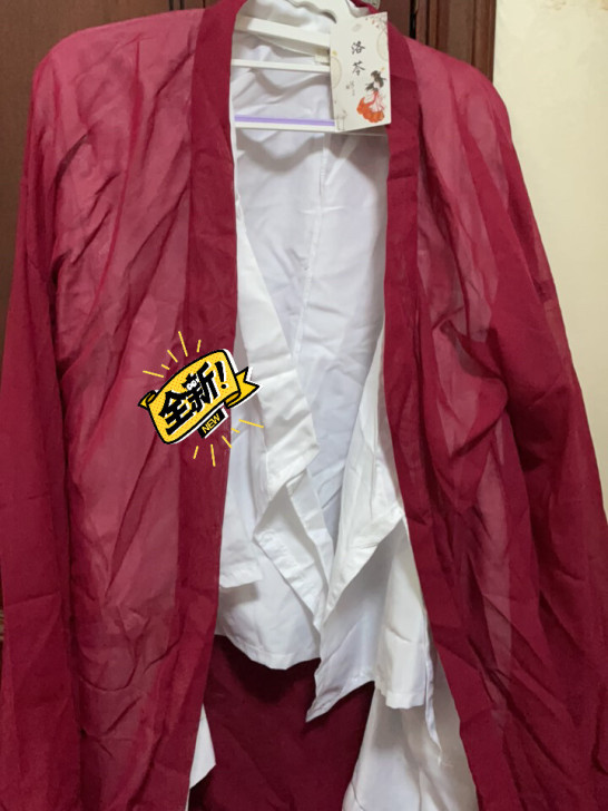 侠客汉服女红颜古装秋冬魏晋风飘逸仙气古风超...