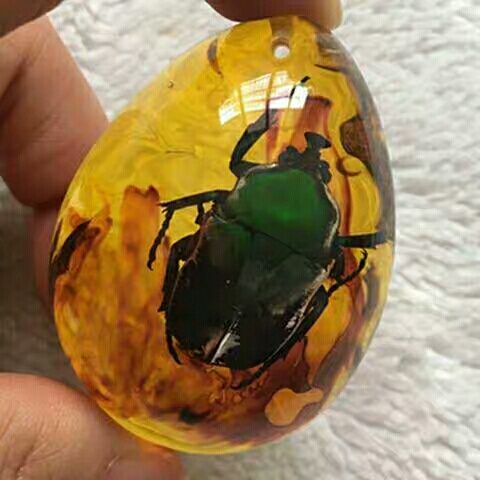 精美时尚昆虫标本吊坠