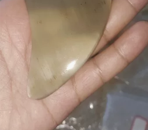 1.0厚白牦牛角三角板编号1258-6 带...