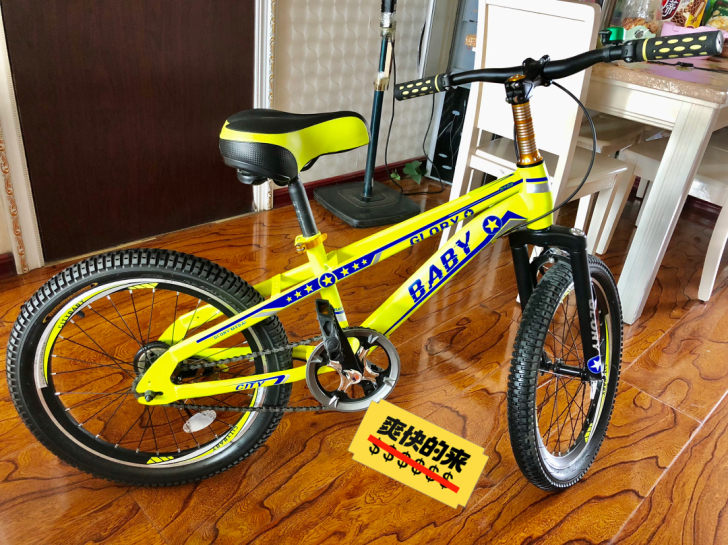 学生山地车，闲置出售，品牌都市贝贝，9成新