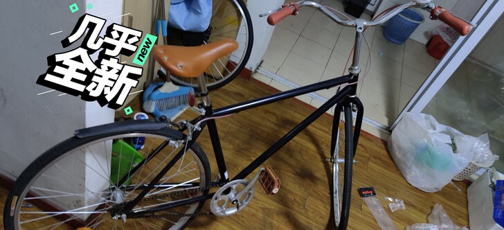 长入手两个月，有电动车了不想骑了出手