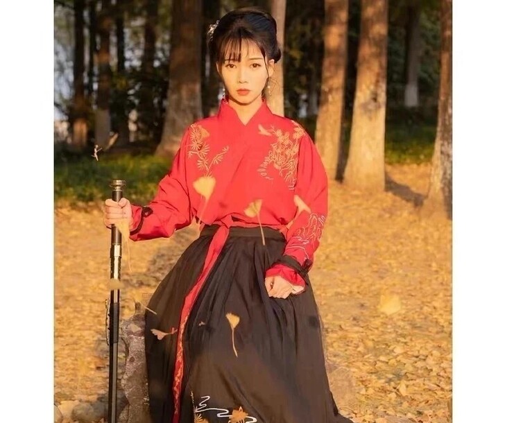 五五年原创汉服 绝版了叫啥我忘了 有内标，...