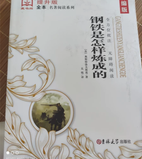 世界名著钢铁是怎样炼成的的，几乎全新，仅写...
