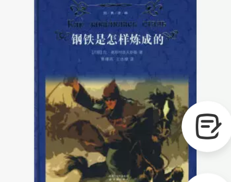 二手包邮【二手95新】经典译林:钢铁是怎样...